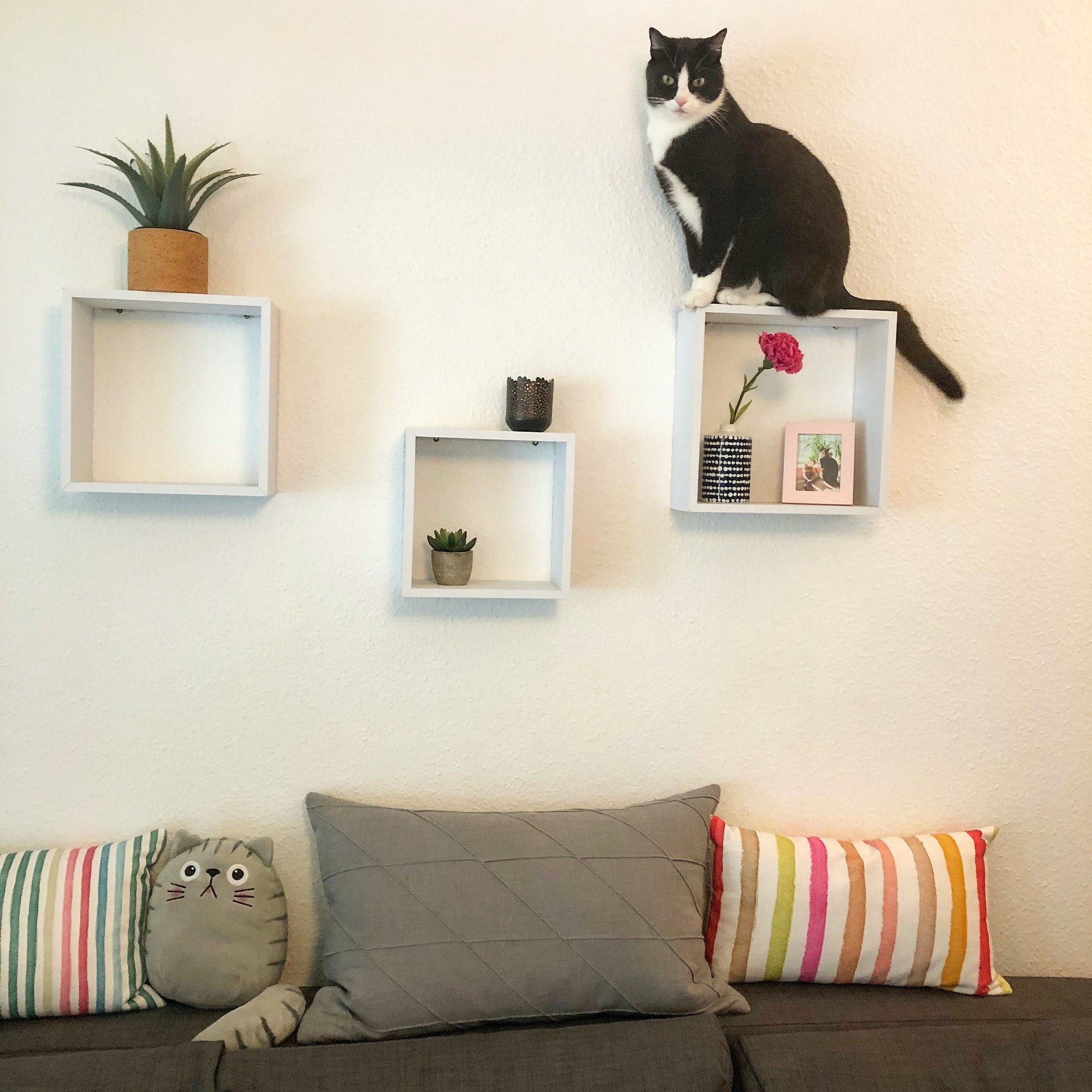 Wall Shelves