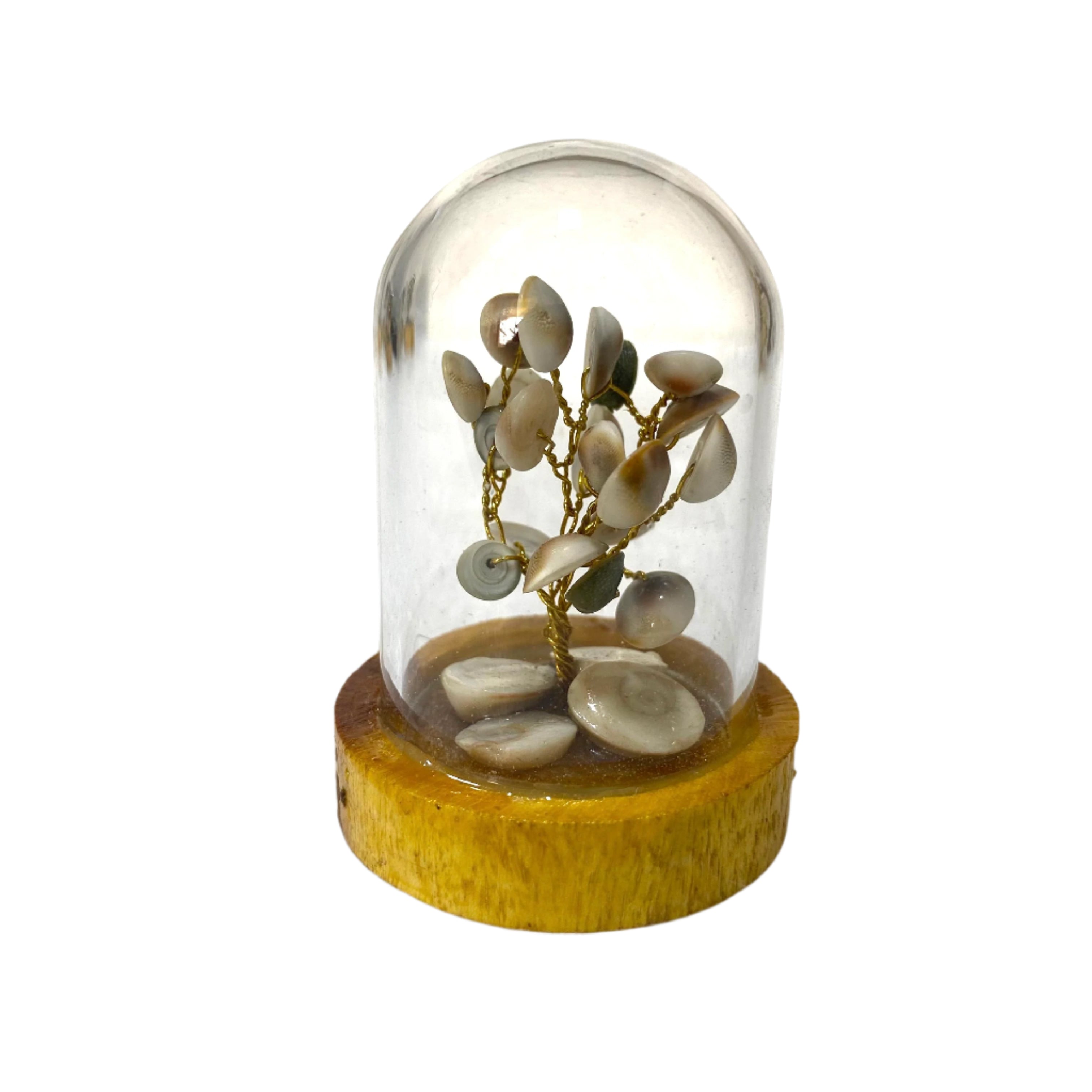 Decorative tree made of shells inside a glass dome on a wooden base with a blurred background