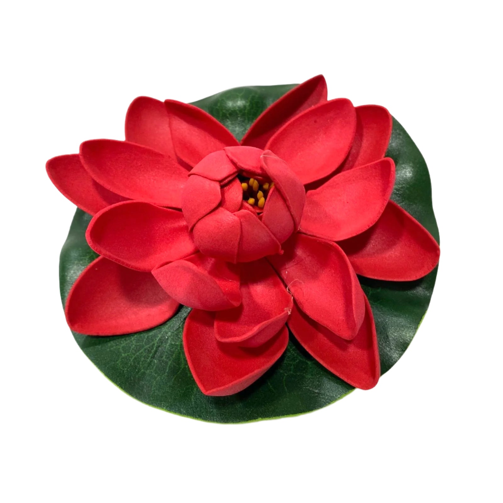 Red flower with green leaves on a white background