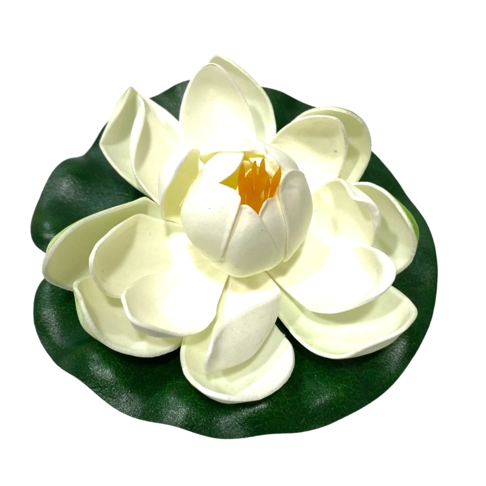 White artificial water lily flower on a green leaf with a white background