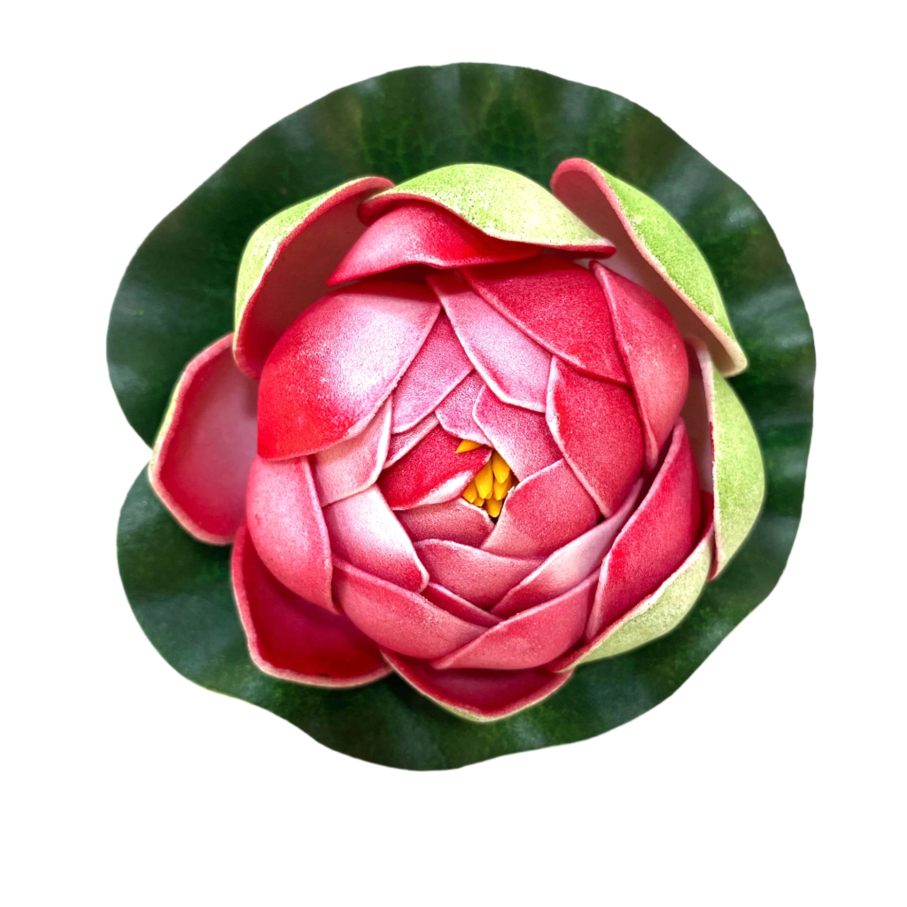 Pink flower with green leaves on a white background