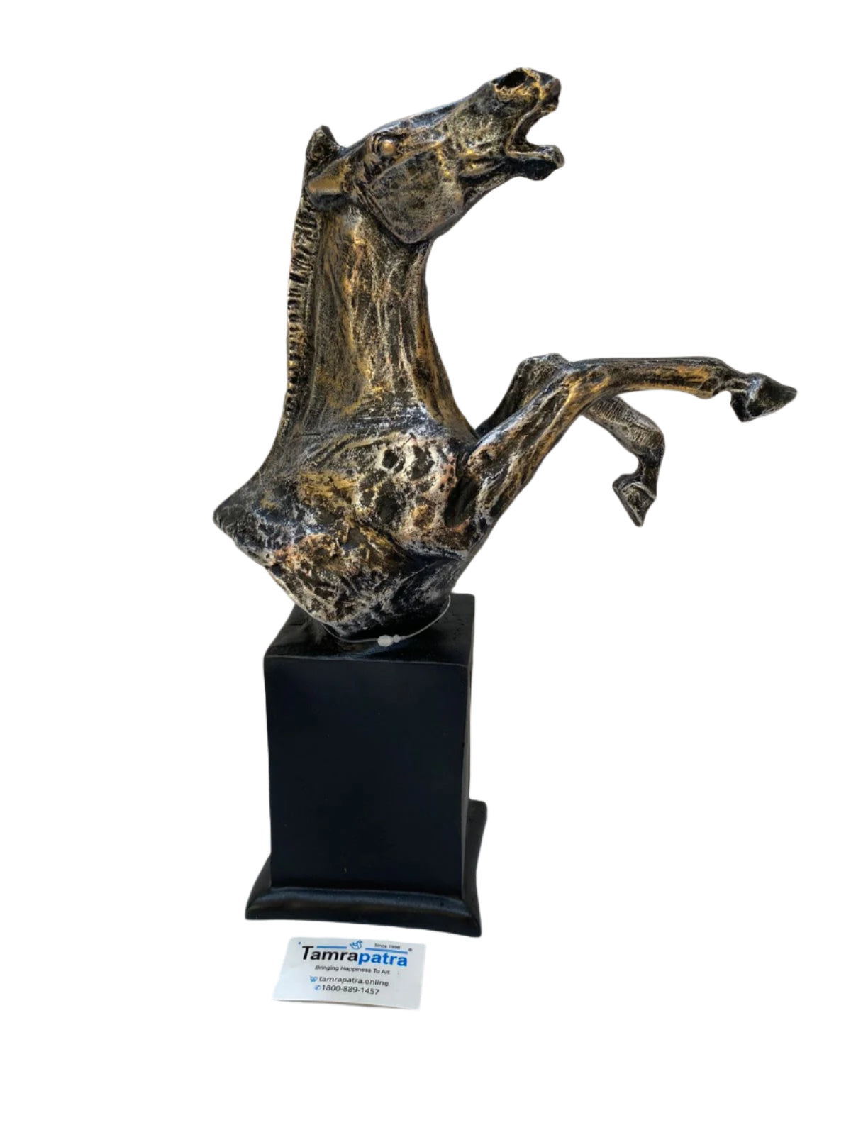 Premium Quality Horse Animal Showpiece Reared Style On Stand Tamrapatra