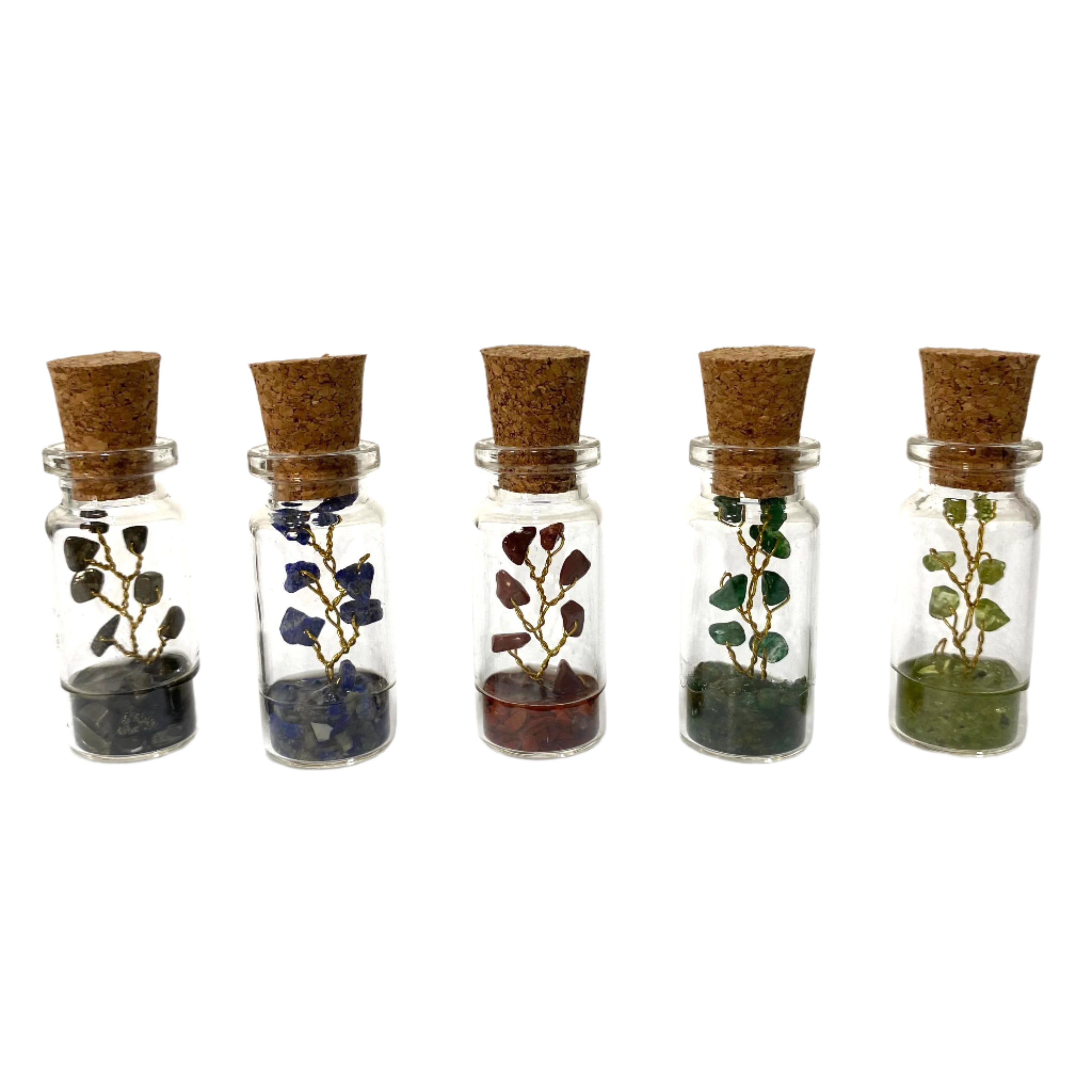 Five small glass jars with cork stoppers containing various plants on a white background