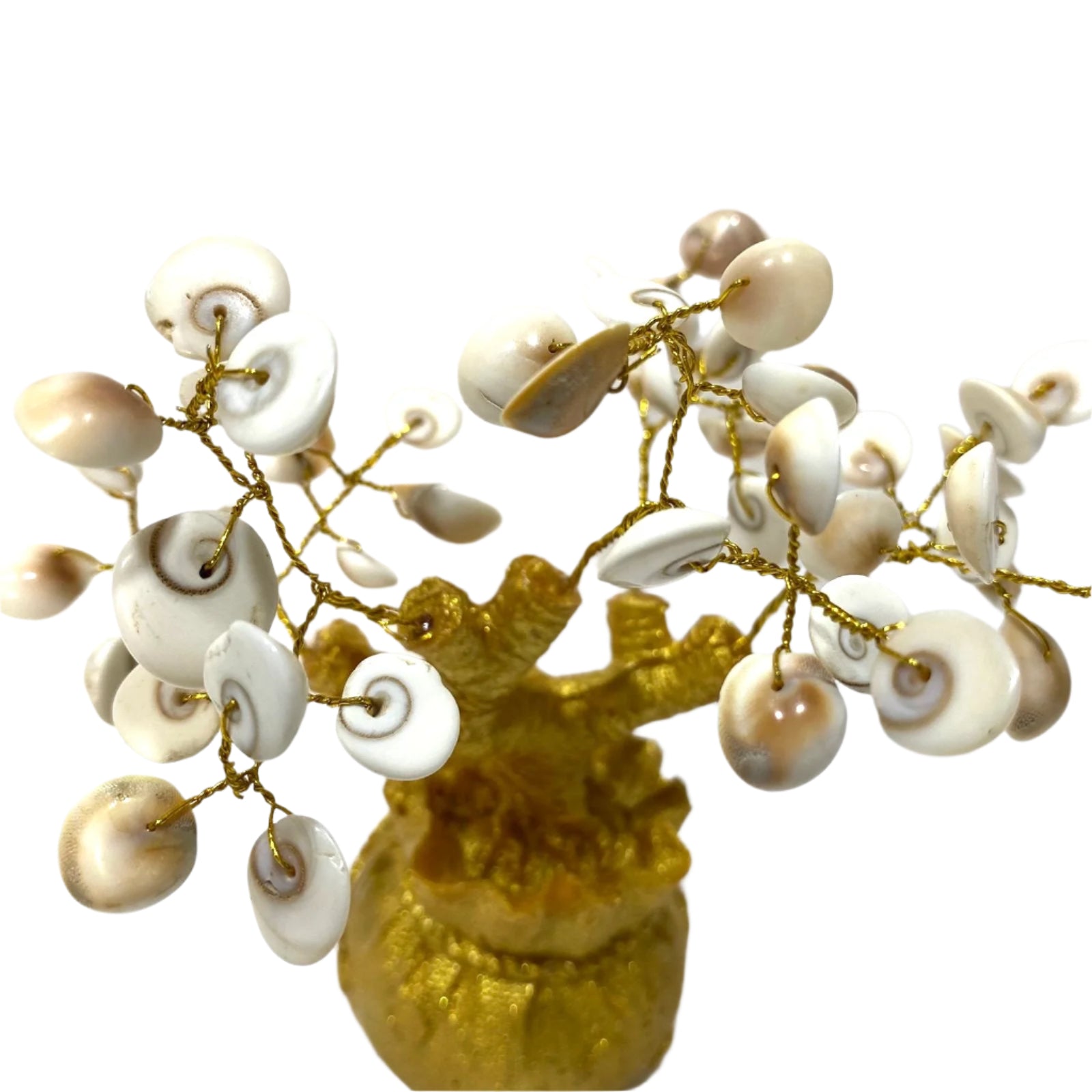 Decorative branch with white and gold shells on a gold vase against a light background