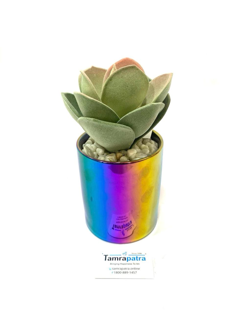 Modern Plants Exclusive Home Décor Collection Artware Handicrafts By Tamrapatra