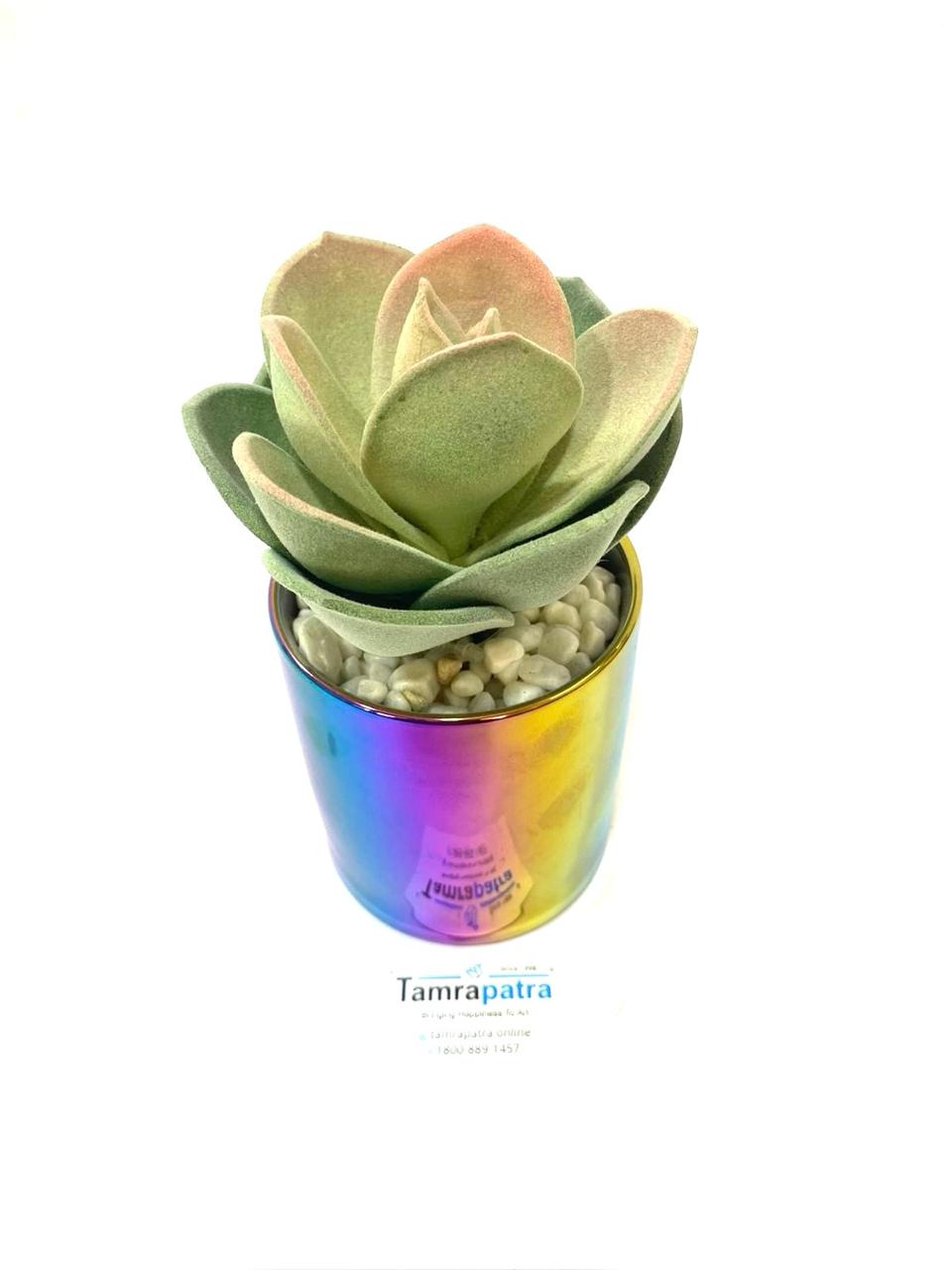 Modern Plants Exclusive Home Décor Collection Artware Handicrafts By Tamrapatra