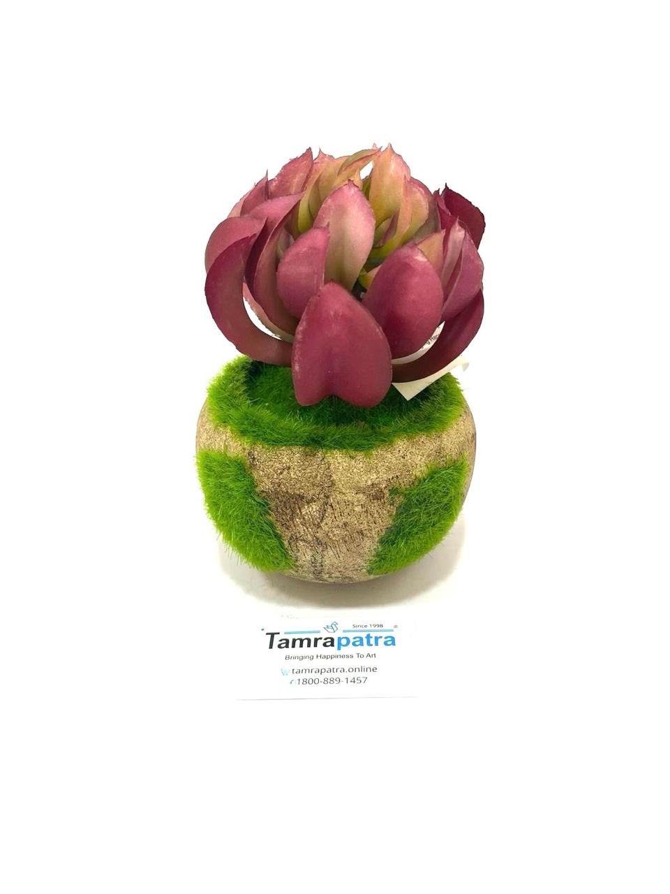 Artificial Succulents Moss Indoor Plant In Round Grass Cork Pots By Tamrapatra