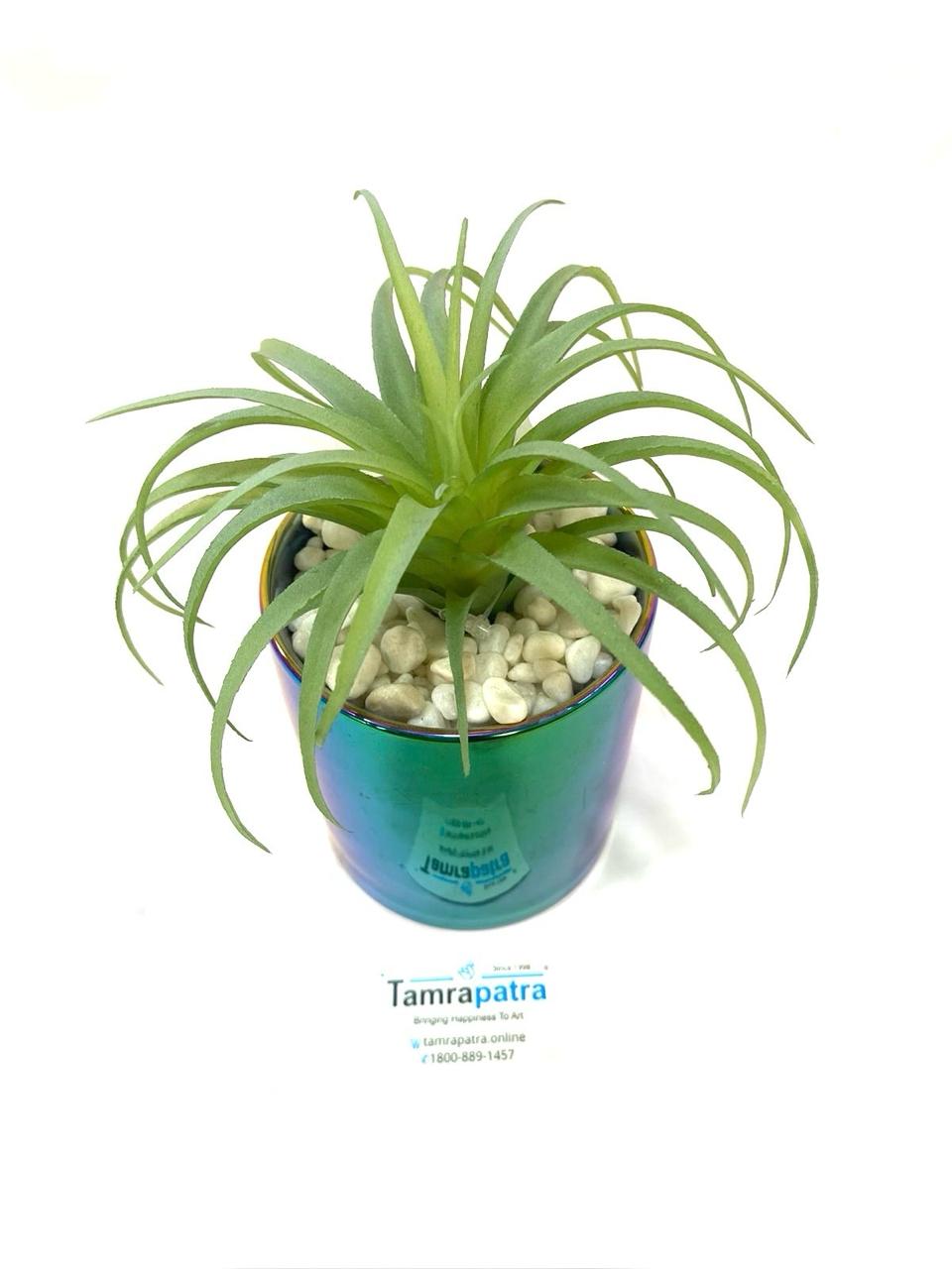 Modern Plants Exclusive Home Décor Collection Artware Handicrafts By Tamrapatra