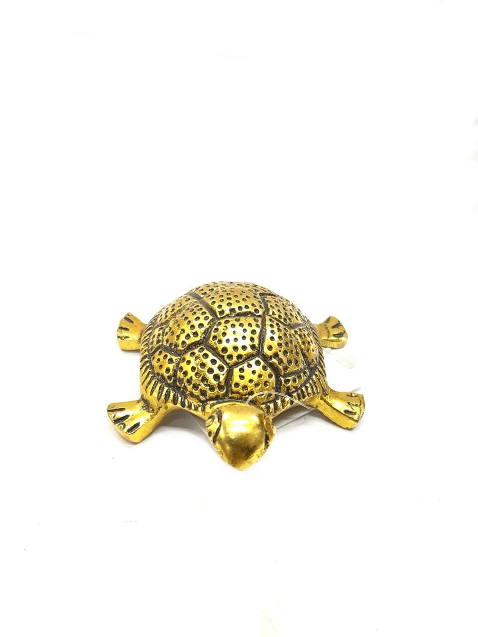 Tortoise Metal Vastu Lucky Gifting Handicrafts Pooja Accessories Available Tamrapatra