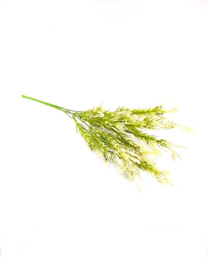 Beautiful Shades of Fern Flower Bunch Create New Garden Décor By Tamrapatra