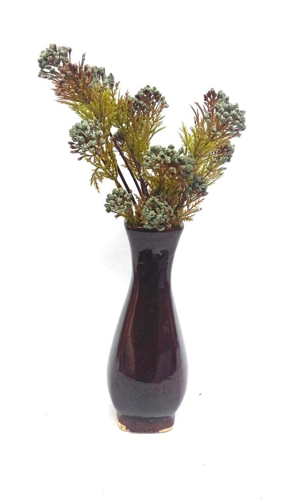 Berry Fern Plant Flower Bunch Home Decoration Garden Various Shades Tamrapatra