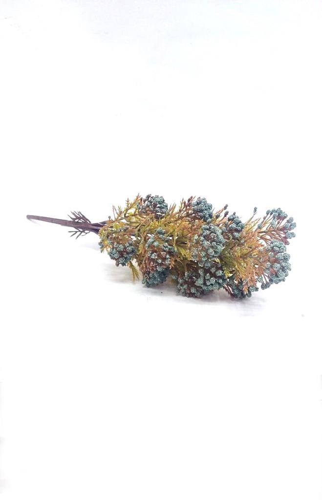 Berry Fern Plant Flower Bunch Home Decoration Garden Various Shades Tamrapatra