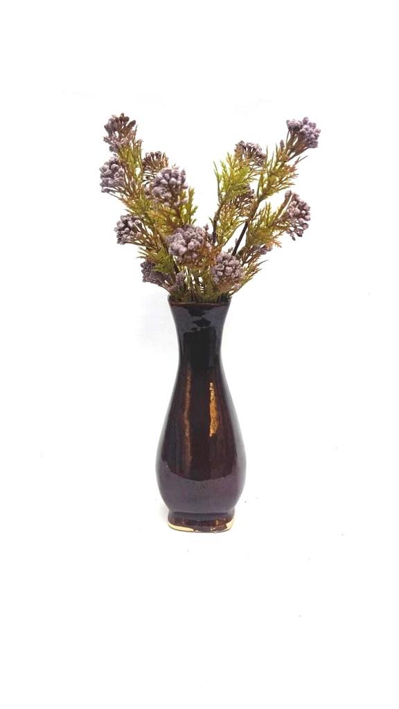 Berry Fern Plant Flower Bunch Home Decoration Garden Various Shades Tamrapatra