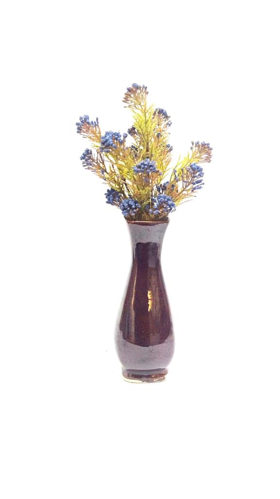 Berry Fern Plant Flower Bunch Home Decoration Garden Various Shades Tamrapatra