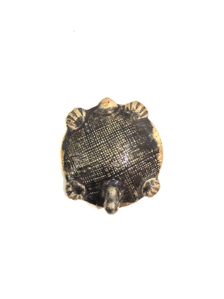 Tortoise In Various Shades Exclusive Ceramic Unique Collection By Tamrapatra