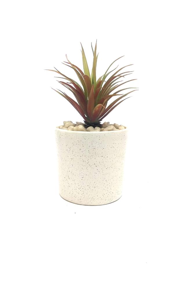 Ceramic Pot Planter Various Stylish Designs For Home Office From Tamrapatra