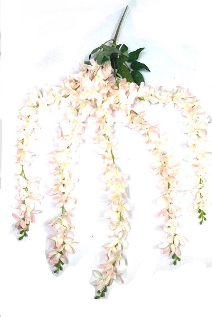 Orchid Falling Creepers Garden Plants Extravagant Decoration By Tamrapatra