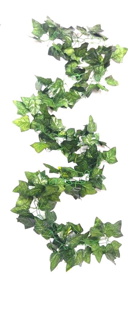 Green Vile Falling Creepers To Decorate Hanging Pots Artistic Décor Tamrapatra