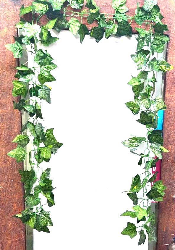 Green Vile Falling Creepers To Decorate Hanging Pots Artistic Décor Tamrapatra