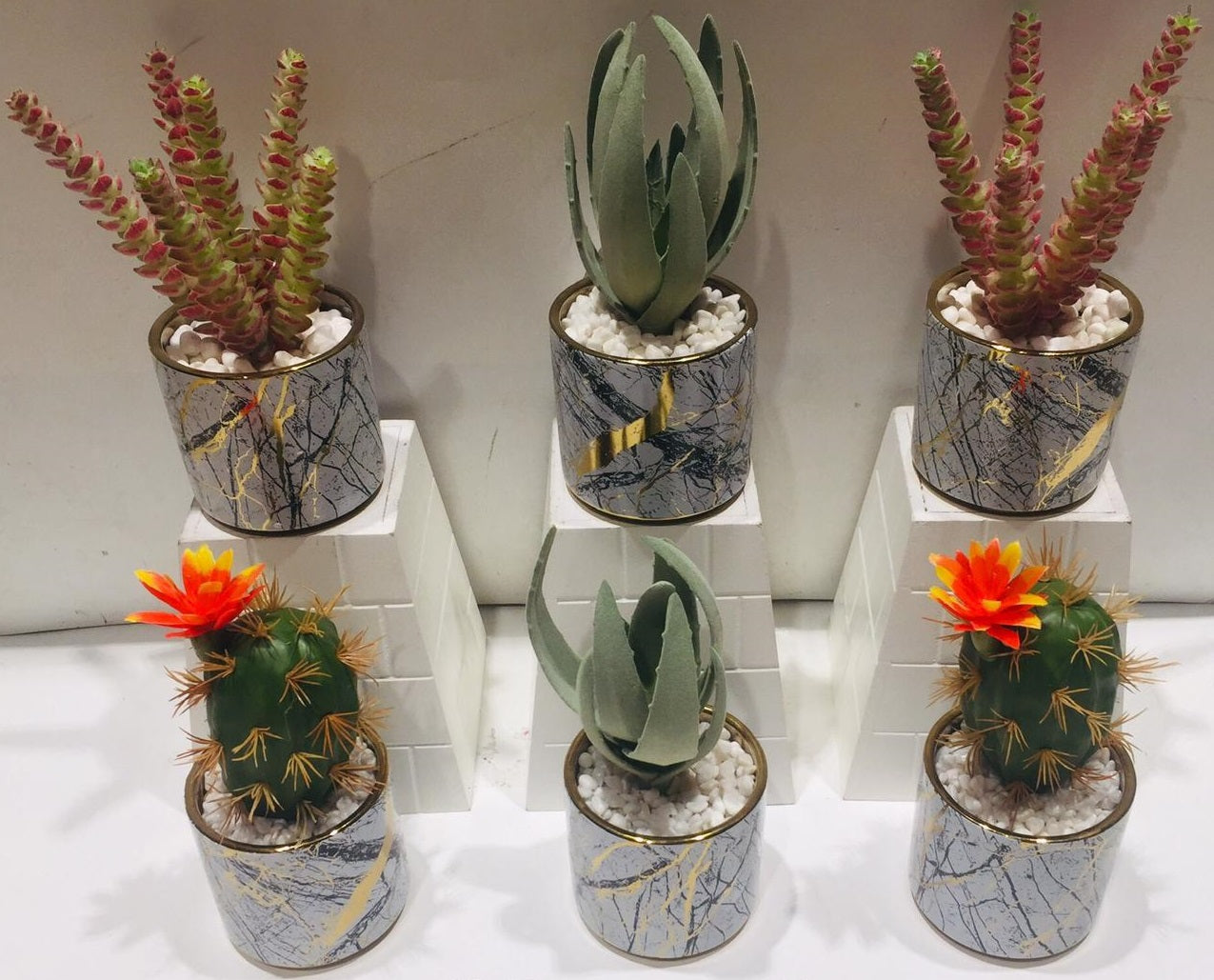 Creative Whitish Golden Pots With Succulents Décor Lovely Homes Tamrapatra