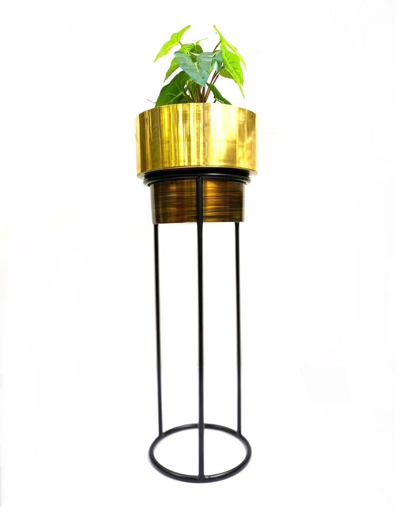 Dual Golden Shades Planters With Classic Black Stand Garden By Tamrapatra
