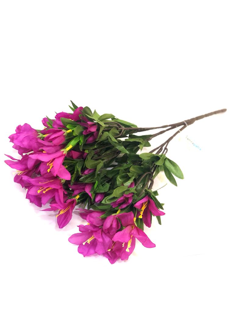 Bougainvillea Flowers In Classy Bunch Sticks Garden Additions Plants Tamrapatra