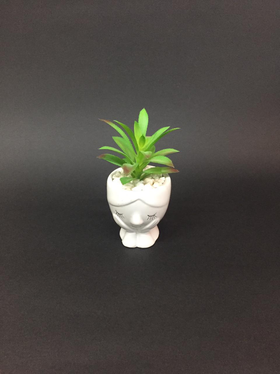 Adorable Pots With Stones & Succulents Home Décor Garden By Tamrapatra