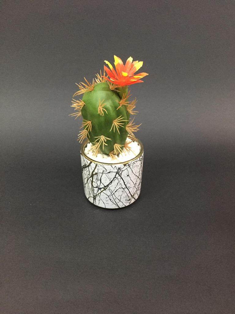 Creative Whitish Golden Pots With Succulents Décor Lovely Homes Tamrapatra