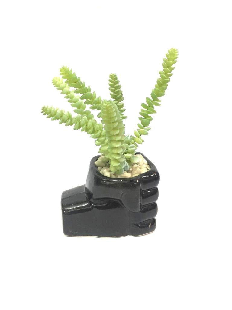 Ceramic Pot Planter Various Stylish Designs For Home Office From Tamrapatra