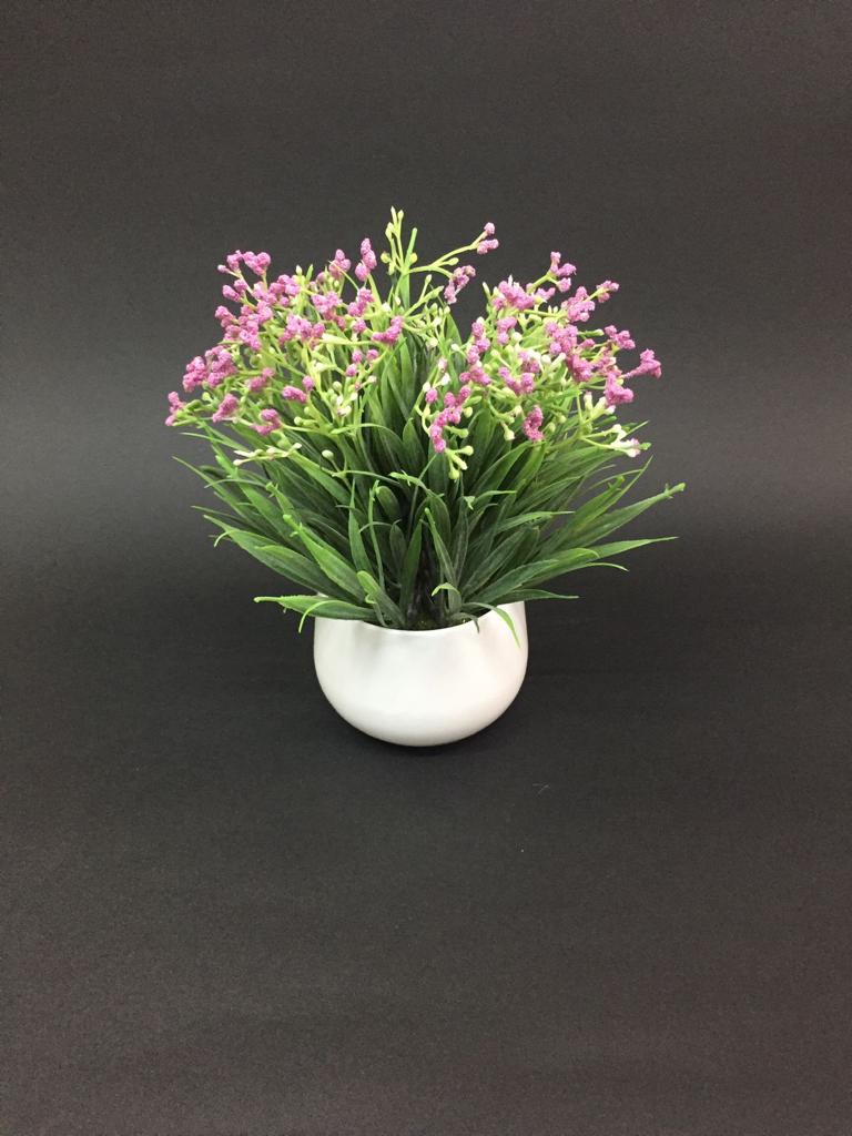 The Fern Style Flower Pots In Eye Catchy Shades Modern Lifestyle Tamrapatra