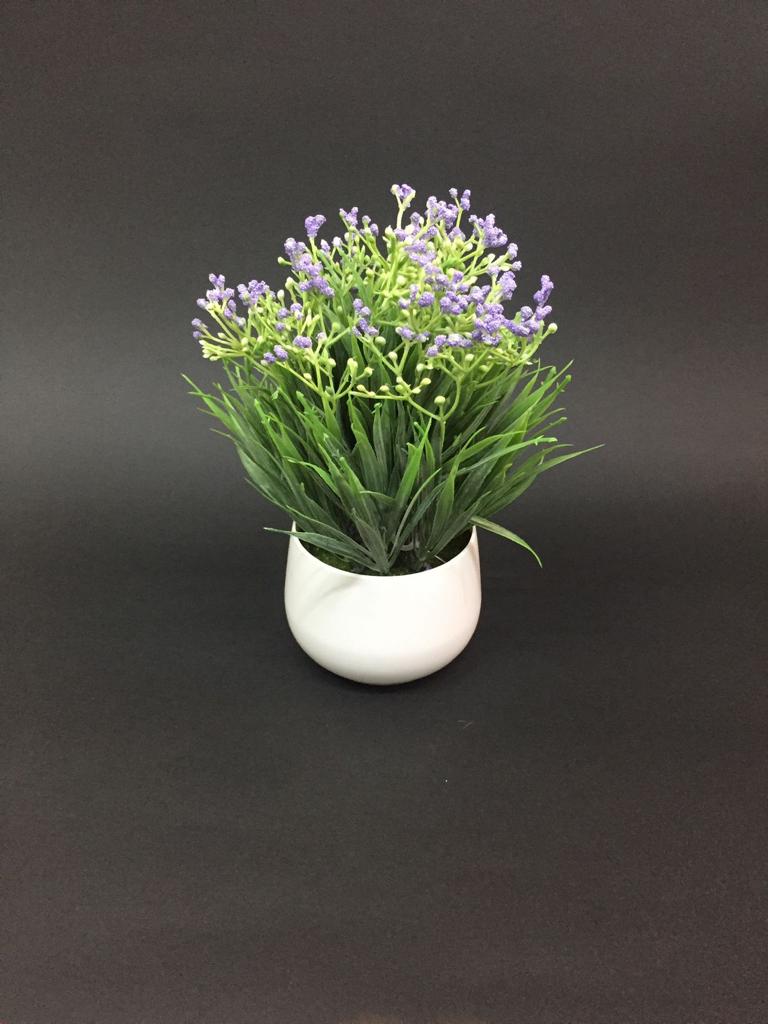 The Fern Style Flower Pots In Eye Catchy Shades Modern Lifestyle Tamrapatra