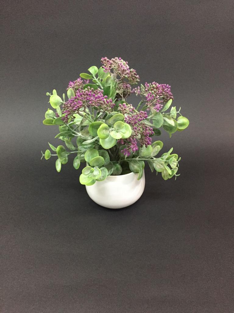 Exclusive Flowered Leafy Pot Plant Suits Each & Every Space Decor Tamrapatra