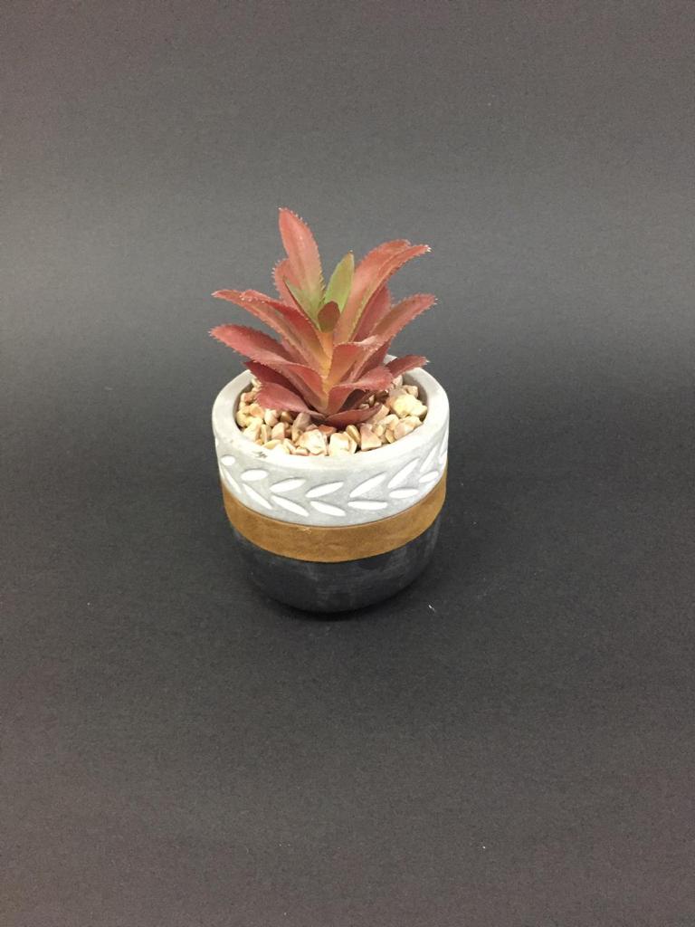 Cement Stylish Pots With Bright Succulents In Sand Arranged Plants Tamrapatra