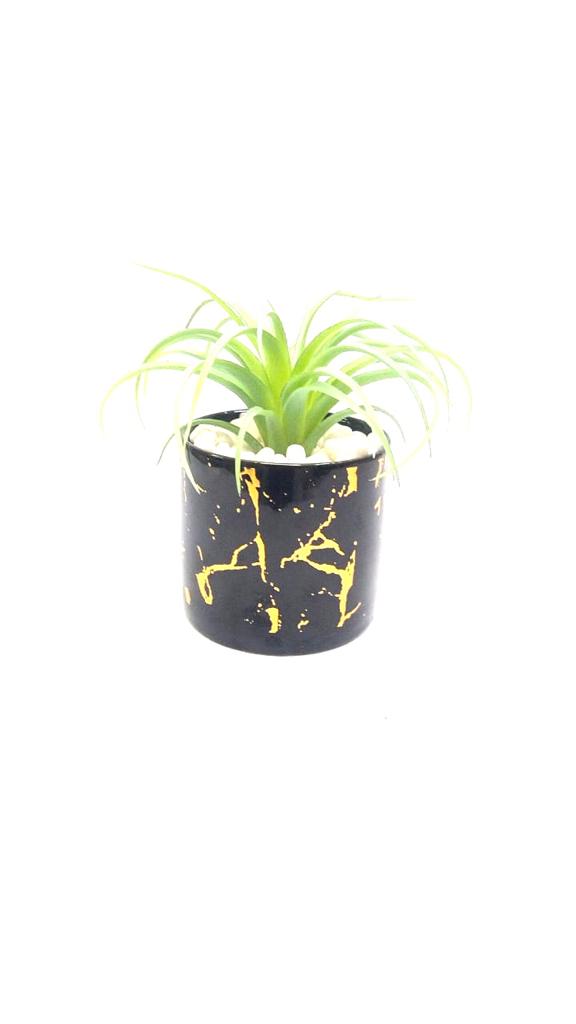 Crackled Golden Finished Pots With Attractive Succulents Plants By Tamrapatra