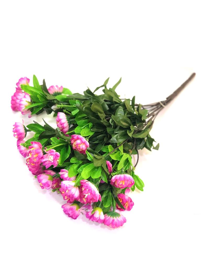 Peony Flowering Plant Decoration For Pots Vase Arrangement Garden Tamrapatra