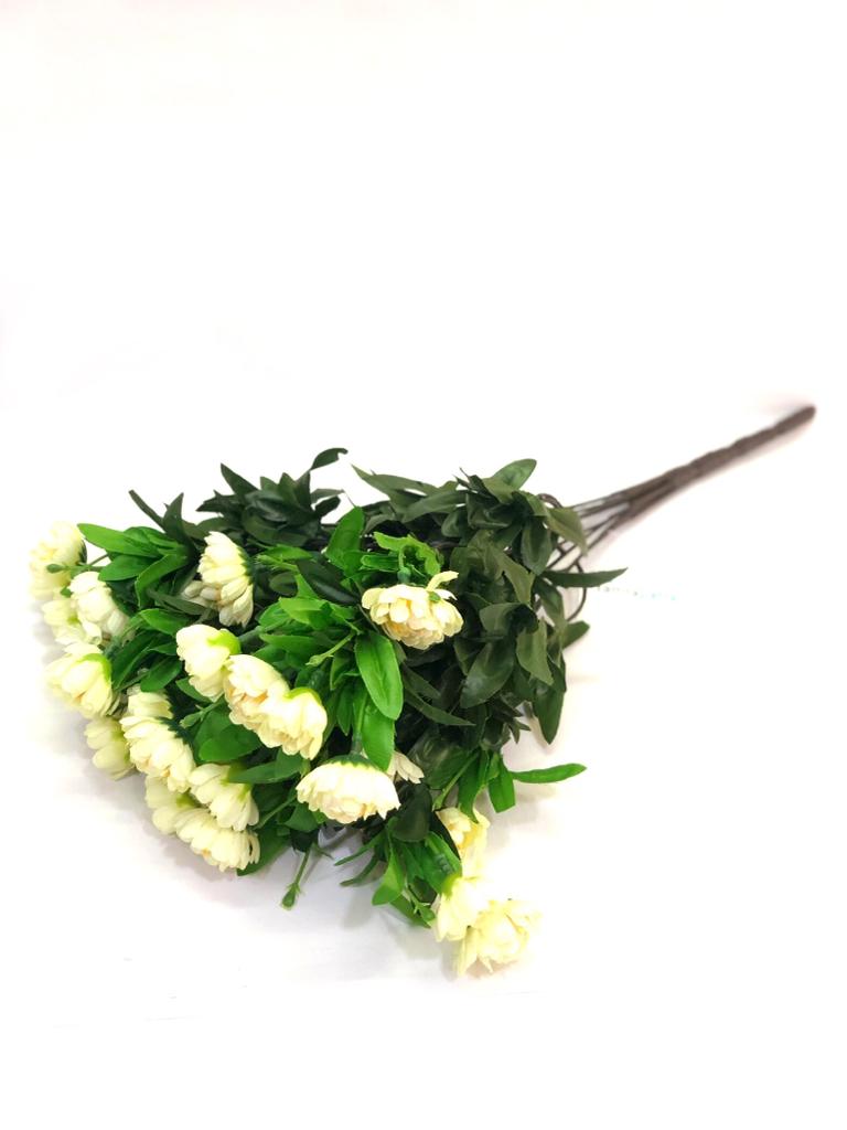 Peony Flowering Plant Decoration For Pots Vase Arrangement Garden Tamrapatra