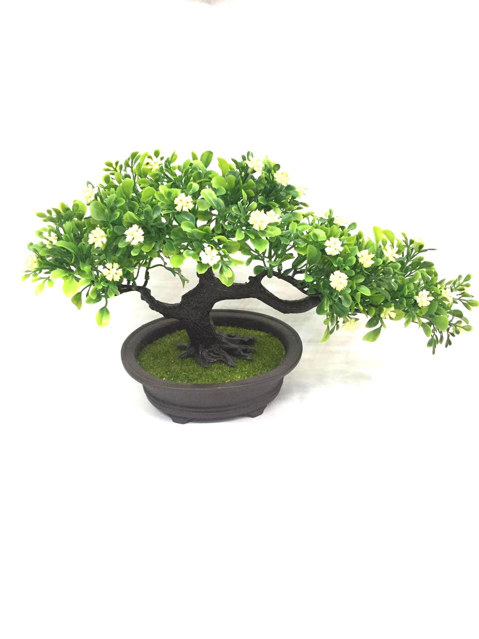 Florist Kalanchoe Plant Beautiful Colors To Spruce Up Your Living Space Tamrapatra