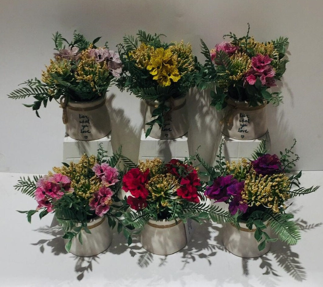 Live What You Love Beautiful Quotes Ceramic Pots & Flowering Plant Tamrapatra