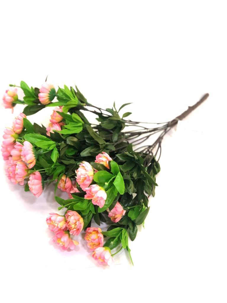 Peony Flowering Plant Decoration For Pots Vase Arrangement Garden Tamrapatra