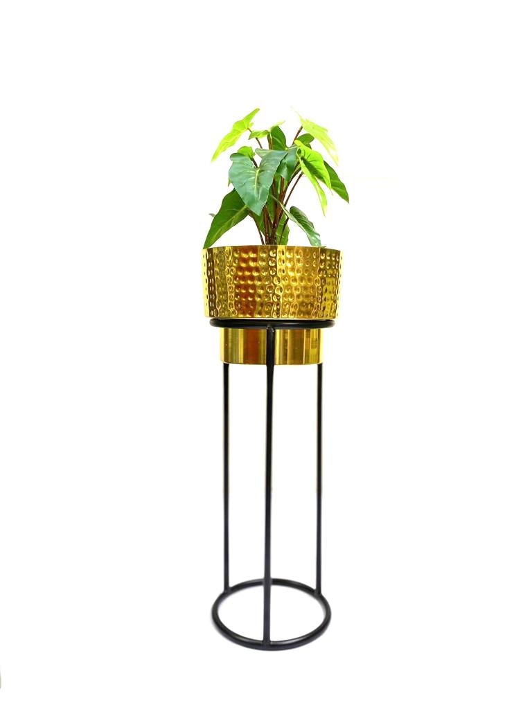 Eccentric Hammered Gold Planters On Black Stand Garden Décor By Tamrapatra