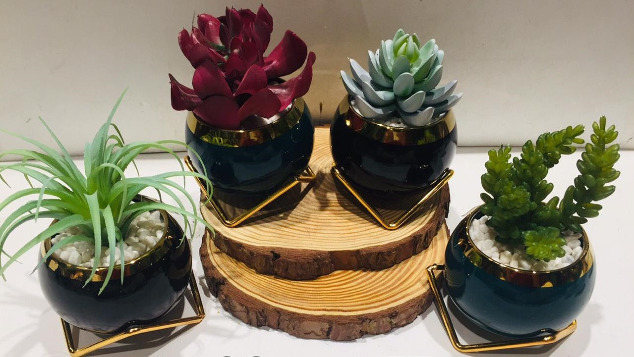 Extravagant Classy Black Golden Stand With Stones & Succulents By Tamrapatra