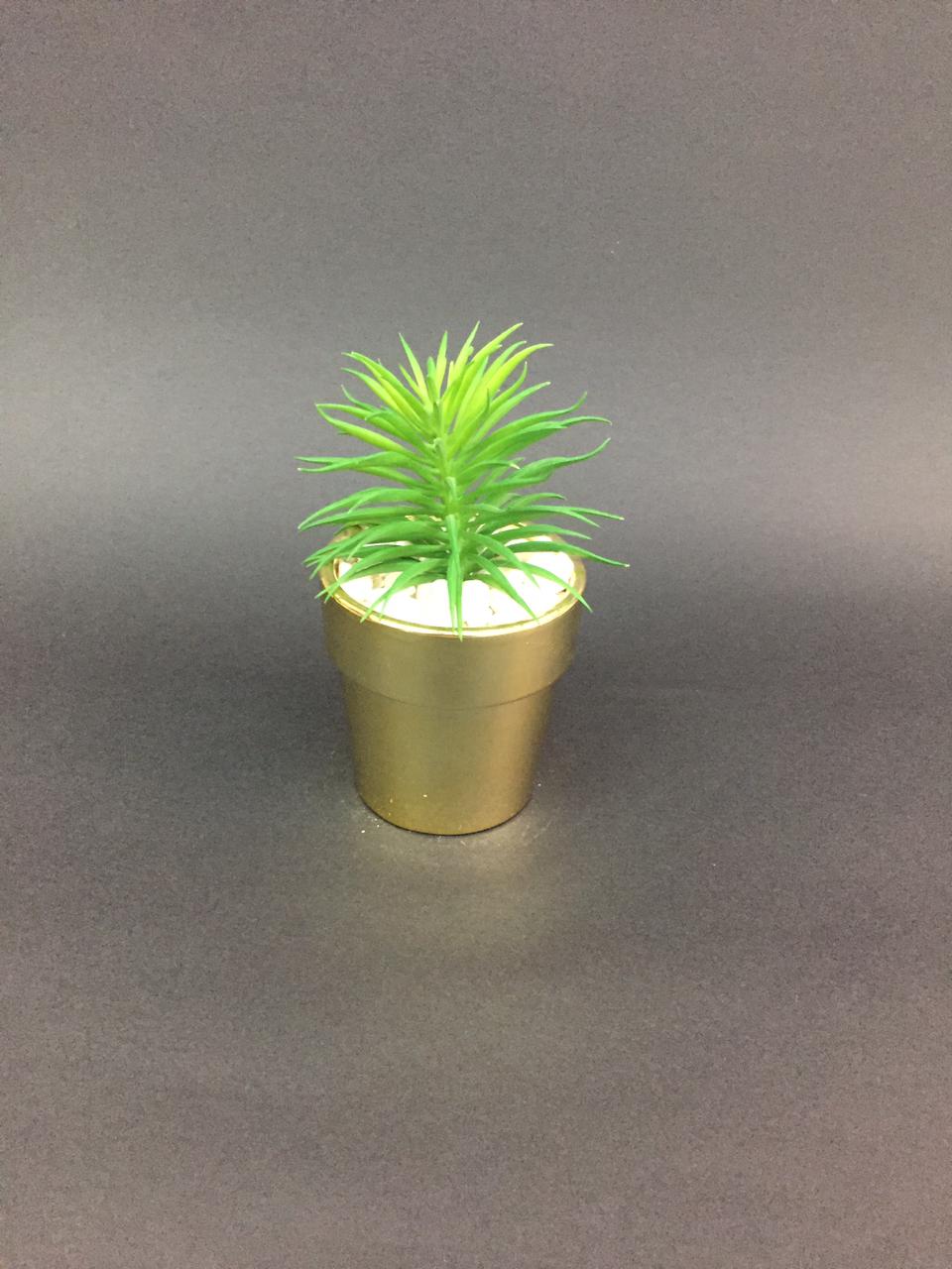 Golden Classic Finished Pots With Dazzling Succulents Decoration Tamrapatra