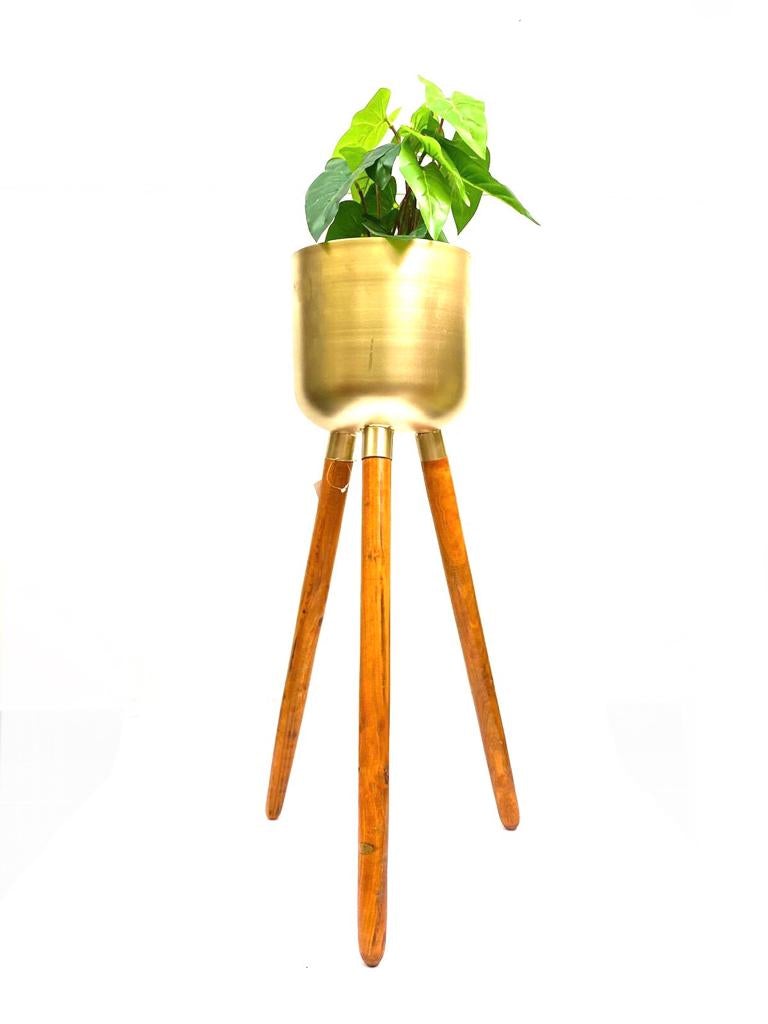 Metal Golden Shade Planters On Wooden Stand Home Office From Tamrapatra
