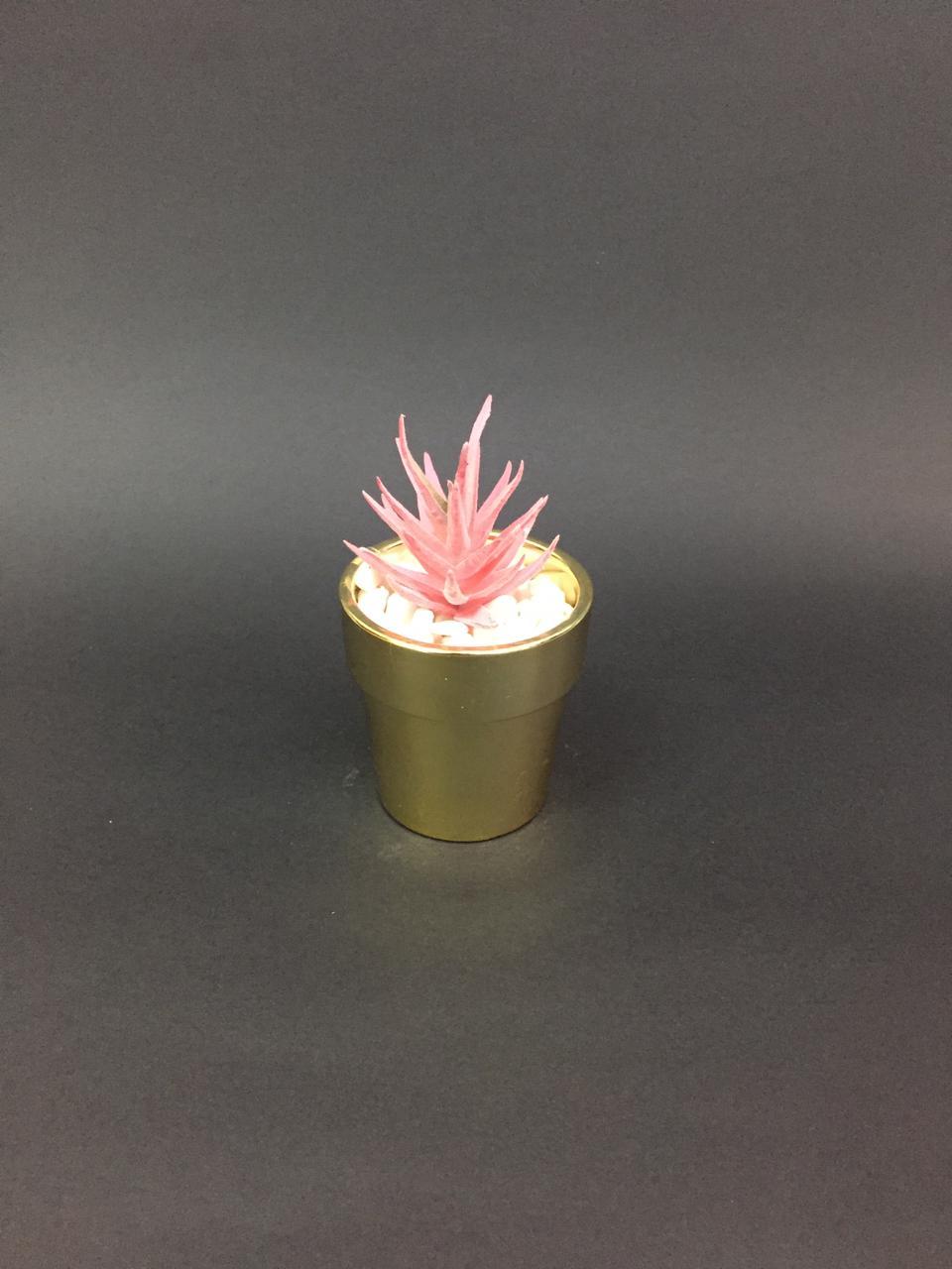 Golden Classic Finished Pots With Dazzling Succulents Decoration Tamrapatra
