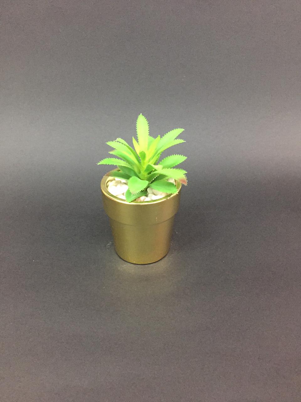 Golden Classic Finished Pots With Dazzling Succulents Decoration Tamrapatra