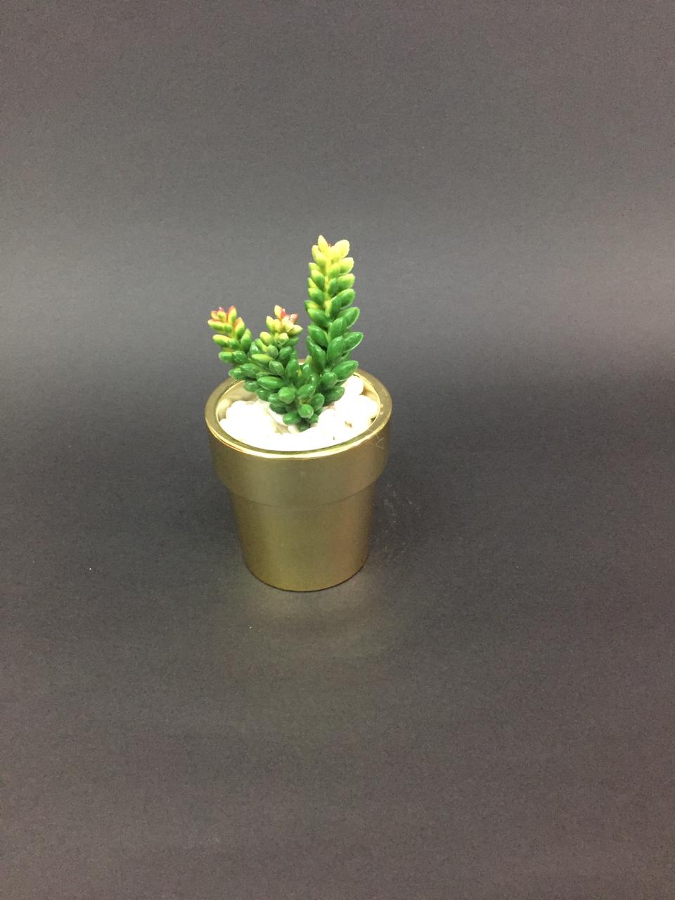 Golden Classic Finished Pots With Dazzling Succulents Decoration Tamrapatra