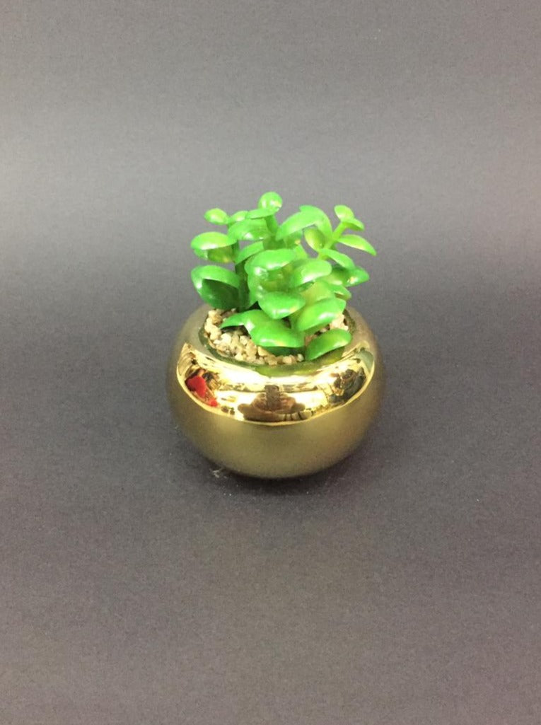 Golden Pot With Succulents Artificial Interior Home Garden Plants Tamrapatra