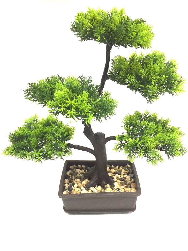 Bonsai Tree Artificial Style Plant With Modern Touch Indoor Ideas By Tamrapatra