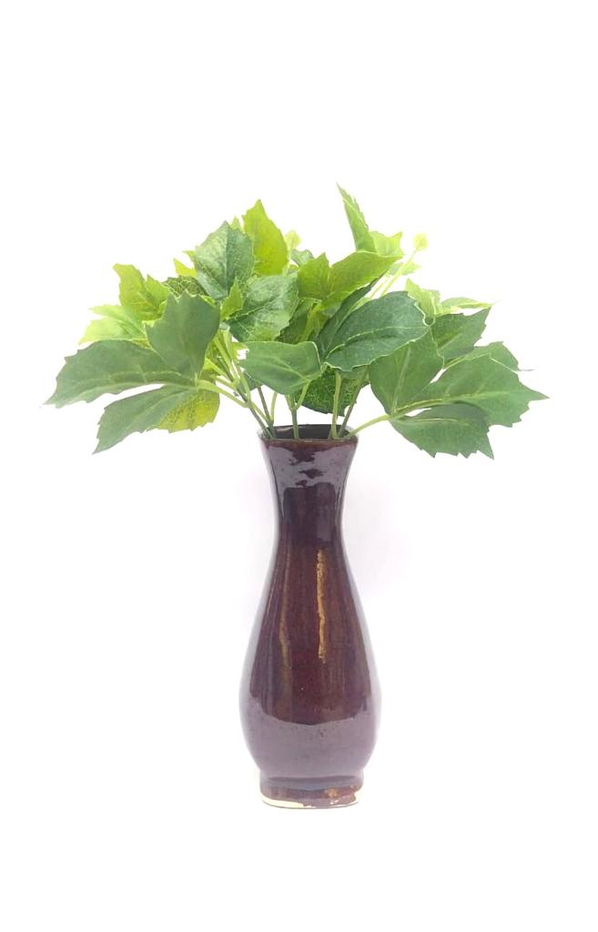 Hedera Helix Plants Bunch In Various Style & Sizes Home Décor Garden Tamrapatra