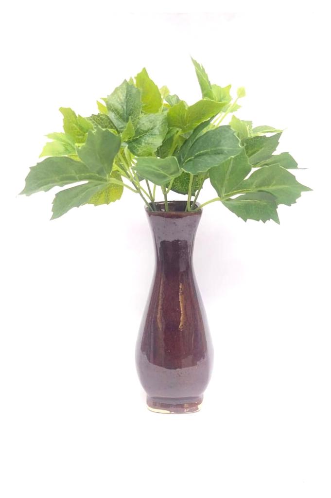 Hedera Helix Plants Bunch In Various Style & Sizes Home Décor Garden Tamrapatra